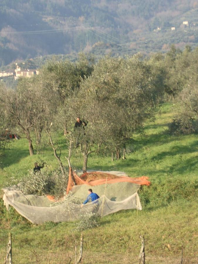 Vila Casale Camaiore Capannori Exteriér fotografie